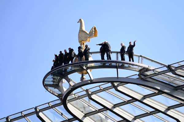 Brave the Skywalk with Skylarks at the Tottenham Hotspur Stadium