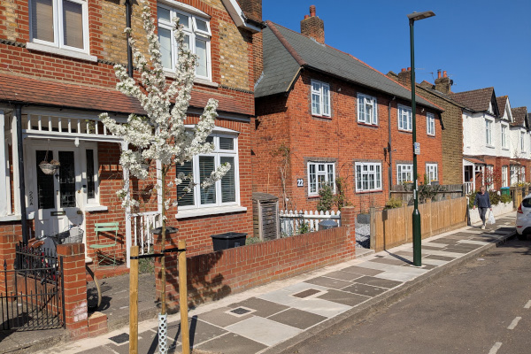 Join Friends of Street Trees to help our young trees thrive