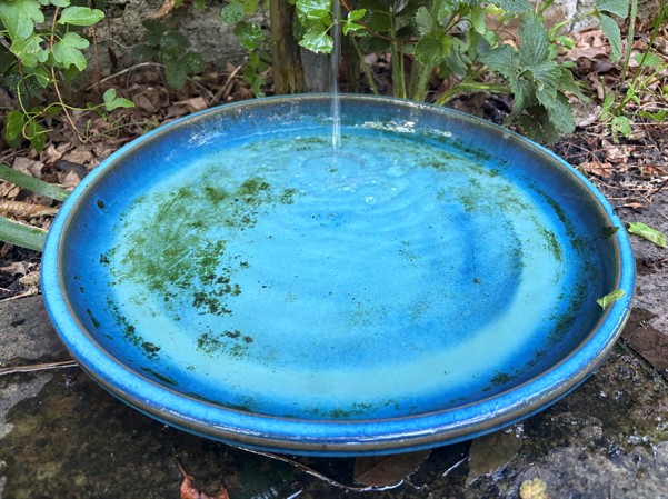 Take care of your health, home and nature in hot weather