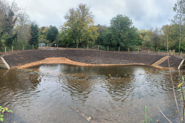 Restoring nature and looking after it together