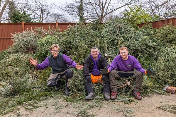 Shooting Star Children's Hospices Christmas tree collection
