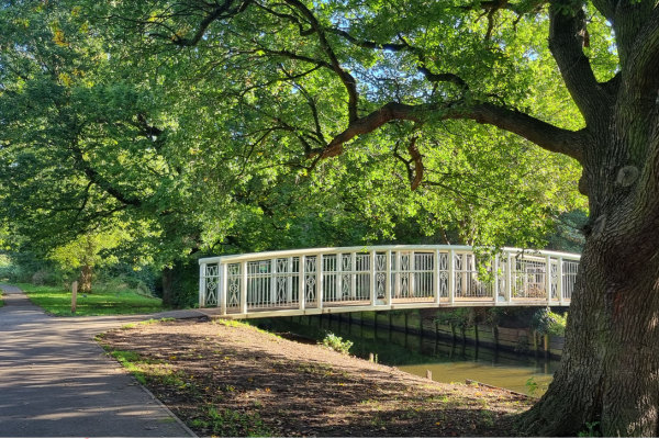 Have your say on how we protect our parks and public spaces